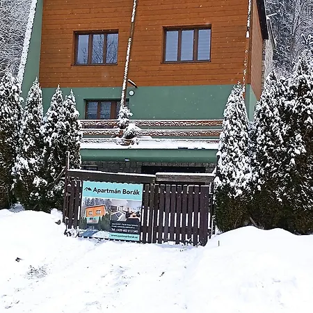 Borak Velké Karlovice