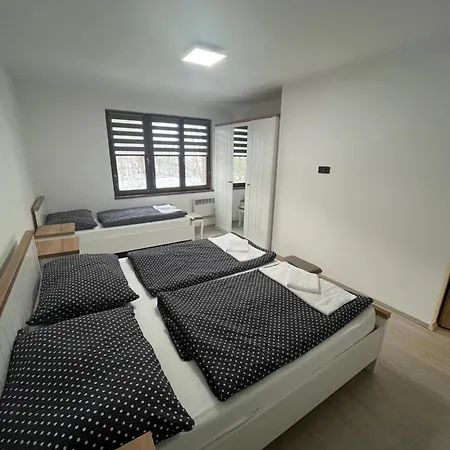 Borak Velké Karlovice