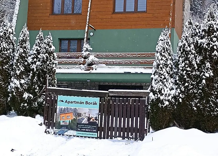 Borak Velké Karlovice