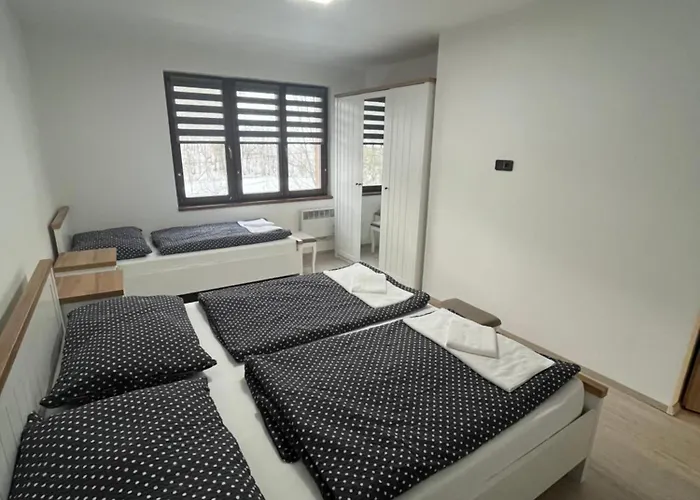 Borak Velké Karlovice